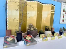 サボテン・多肉植物展 2026