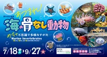 あつまれ！海の骨なし動物ーめちゃ不思議で多様なすがたー