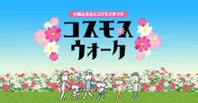 七城ふるさとコスモスウォーク