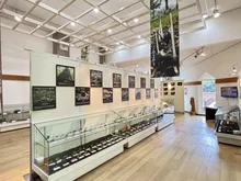 第11回 六甲山のキノコ展 in 森林植物園 2026
