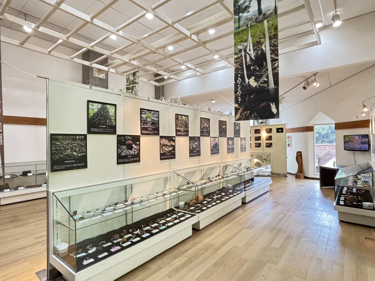 第11回 六甲山のキノコ展 in 森林植物園 2026