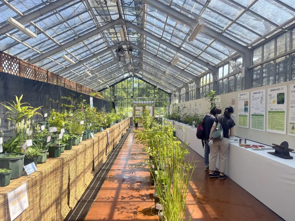 秋の薬用植物とハーブ展