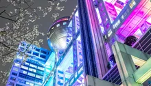 フジテレビイルミネーションAURORA∞ 2026