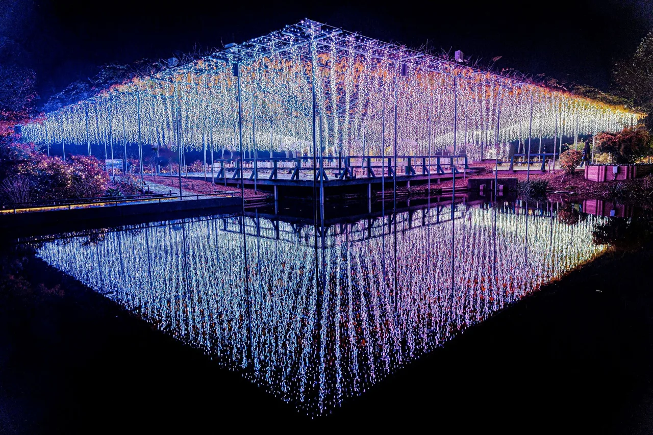 あしかがフラワーパーク「光の花の庭」 2026