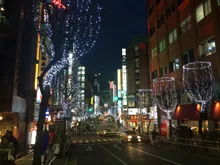 第21回新宿歌舞伎町区役所通りイルミネーション 2026