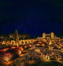Night Bloom 2026 (ナイトブルーム2026)
