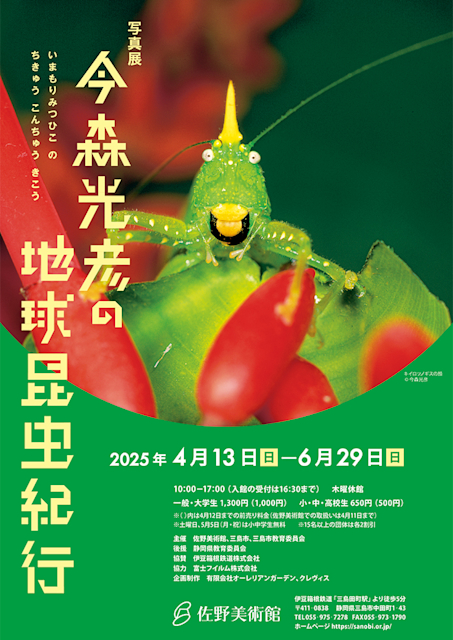 「写真展 今森光彦の地球昆虫紀行」