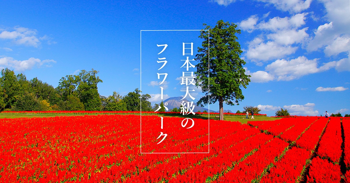 とっとり花回廊 オータムフェスティバル