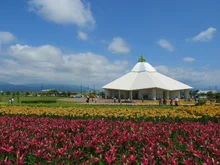 花の駅　ゆりの里公園　イルミネーション