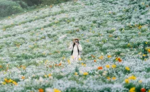 花の駅せら「雲の上の花畑・ネモフィラブランコとフラワーアート」