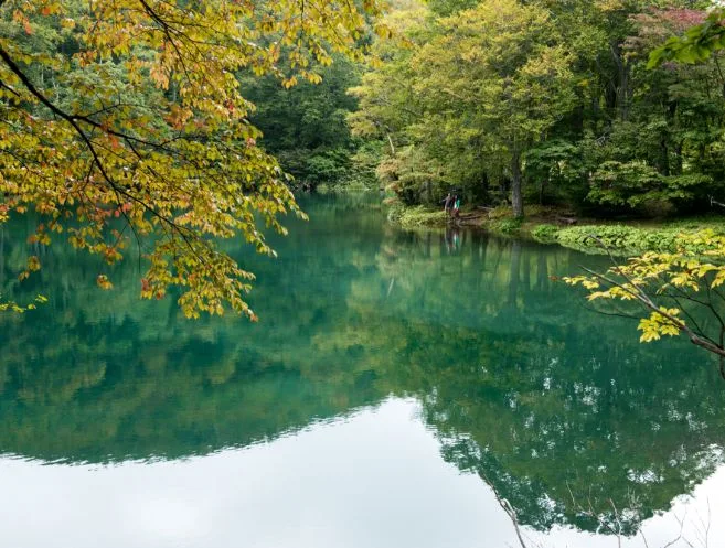 蔵王山の紅葉