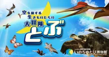 夏の特別展「とぶ　空を旅する生きものたちの大冒険」