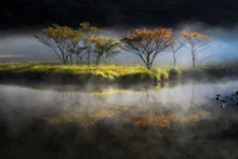 覚満淵の紅葉