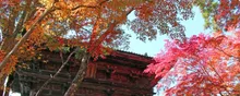 高雄の川床