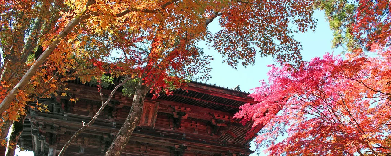 高雄の川床