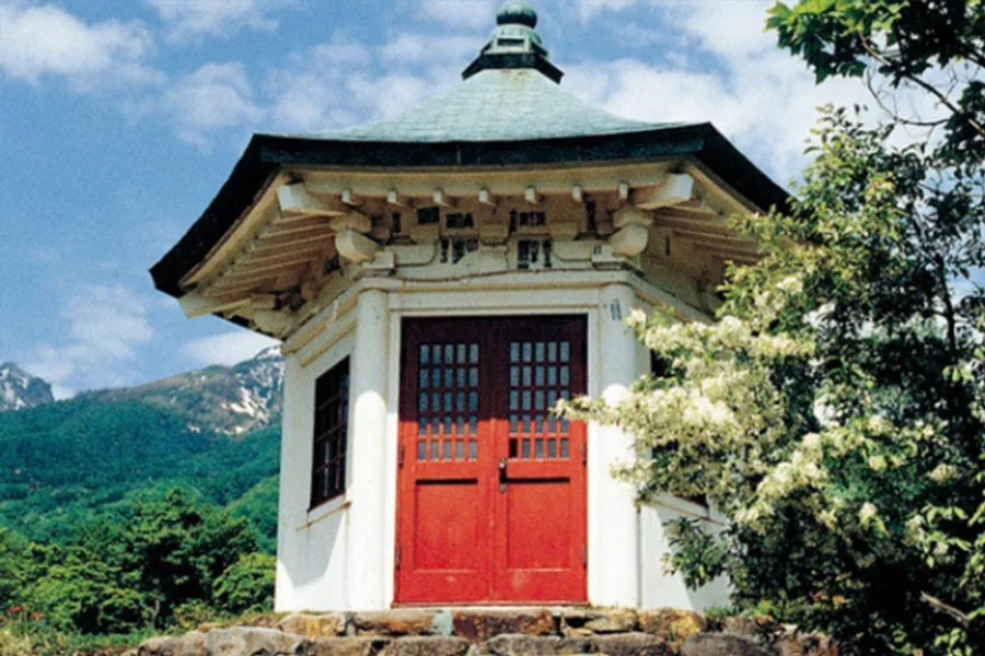 天心忌