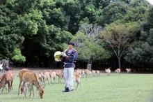 なつの鹿寄せ 2026