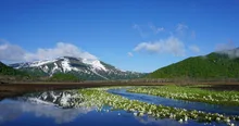 尾瀬山の鼻ビジターセンター　自然観察会（5月～10月）