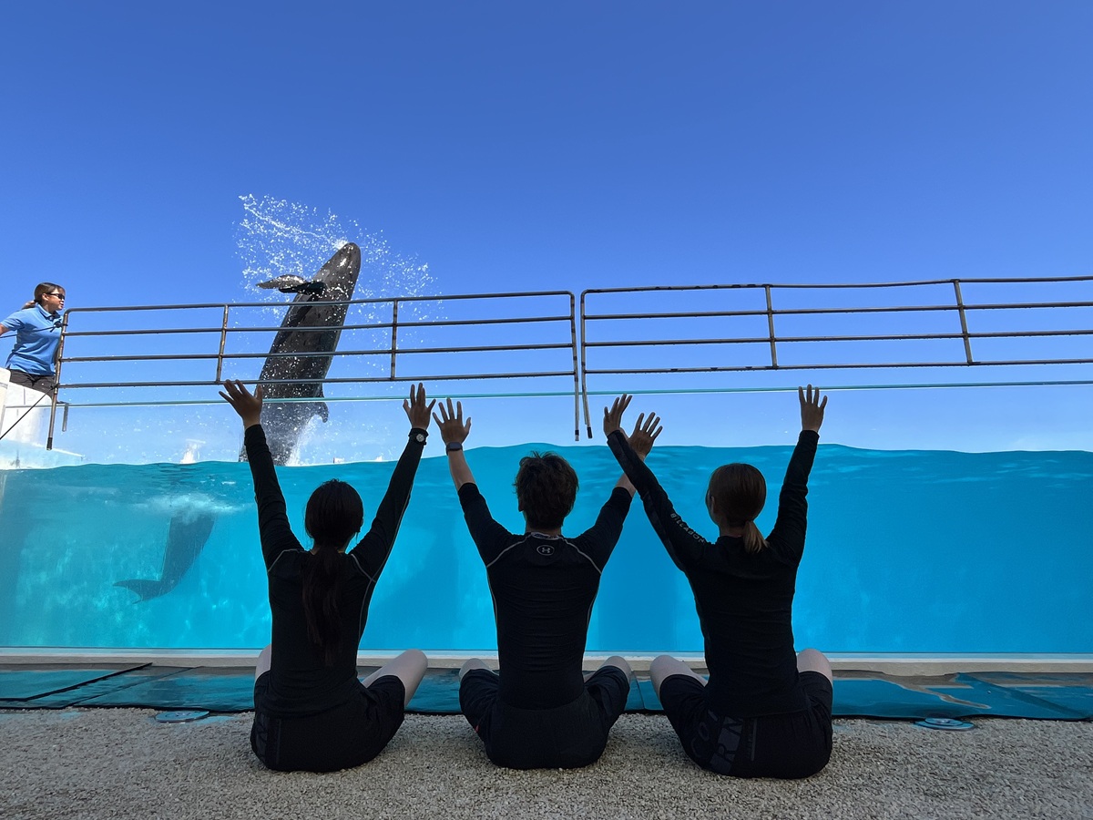 海洋博美ら海サマーフェスティバル 2026 〜夏休みスペシャル〜