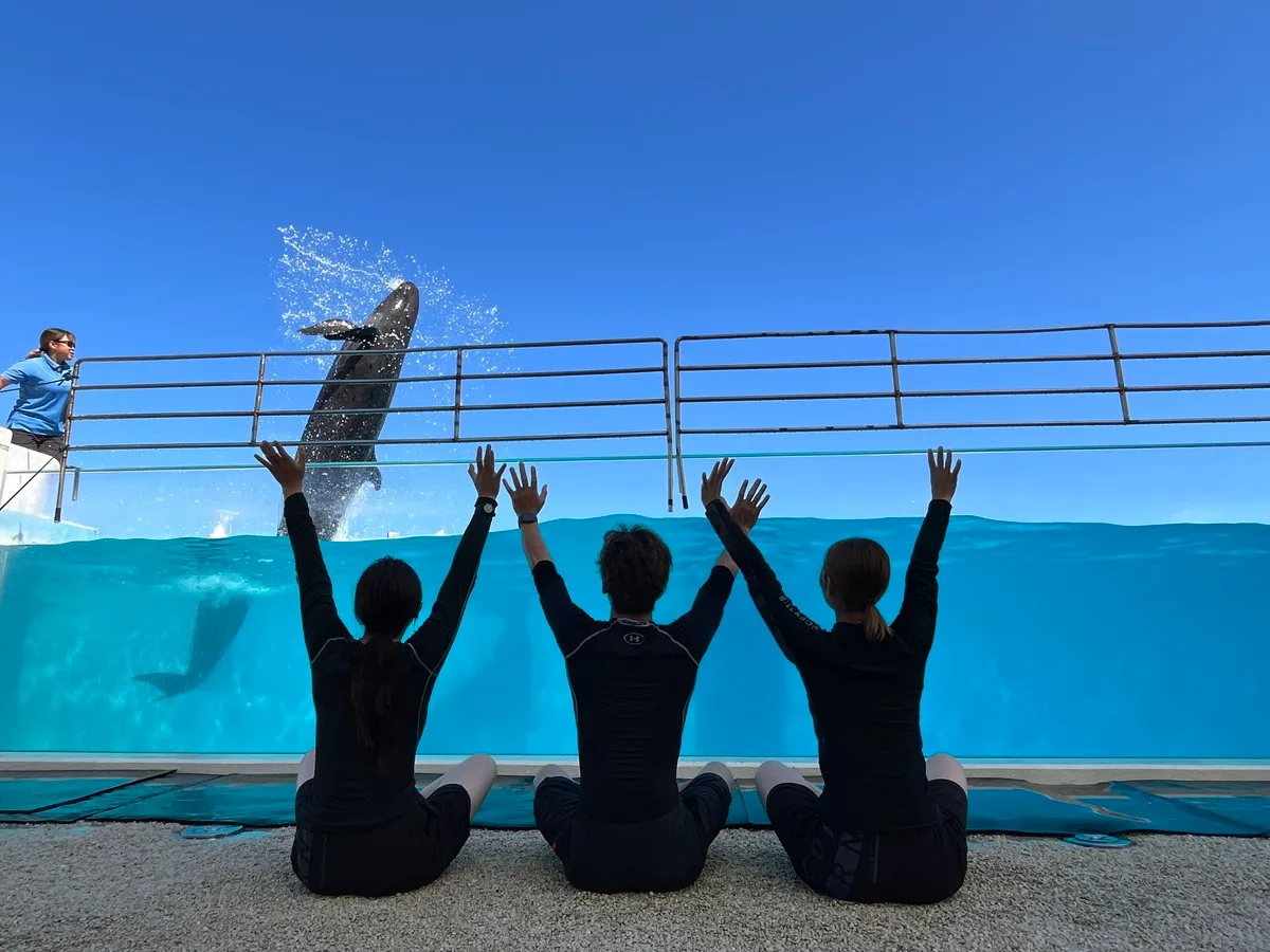 海洋博美ら海サマーフェスティバル 2026 〜夏休みスペシャル〜