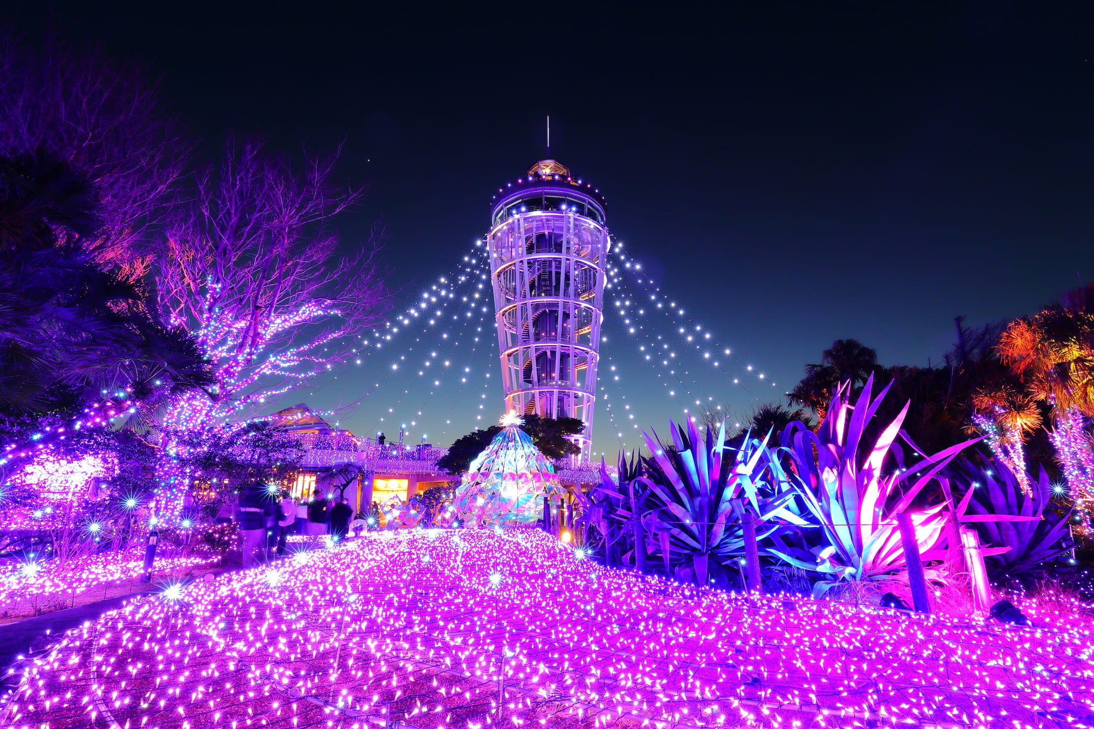 湘南の宝石2026-2027 ~江の島を彩る光と色の祭典~
