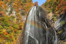 中ノ又渓谷(安の滝)の紅葉 2026