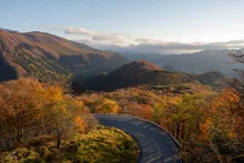 いろは坂(日光)の紅葉 2026