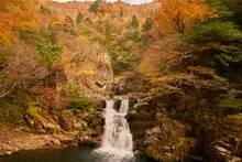 三段峡(二段滝・三段滝・三ツ滝)の紅葉 2026