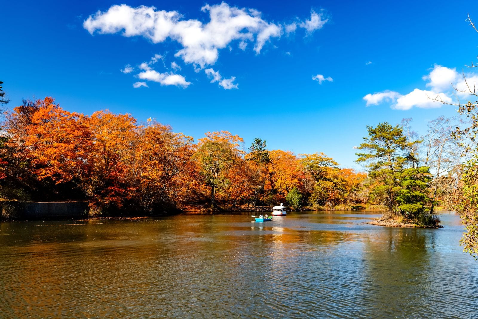 大沼国定公園の紅葉