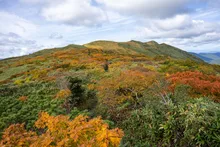 栗駒山(宮城県)の紅葉 2026