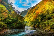 清津峡の紅葉 2026