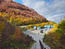 白山白川郷ホワイトロードの紅葉 2026