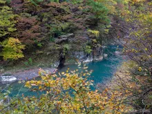 抱返り渓谷の紅葉 2026