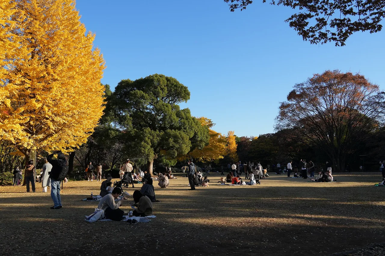 北の丸公園の紅葉 2026