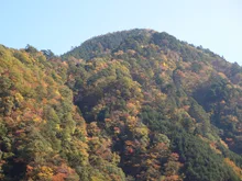 奥多摩(奥多摩湖畔)の紅葉 2026