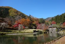 古峯神社の紅葉 2026