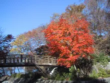 イタリア大使館別荘記念公園の紅葉 2026
