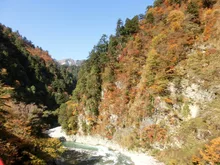 黒部峡谷の紅葉 2026