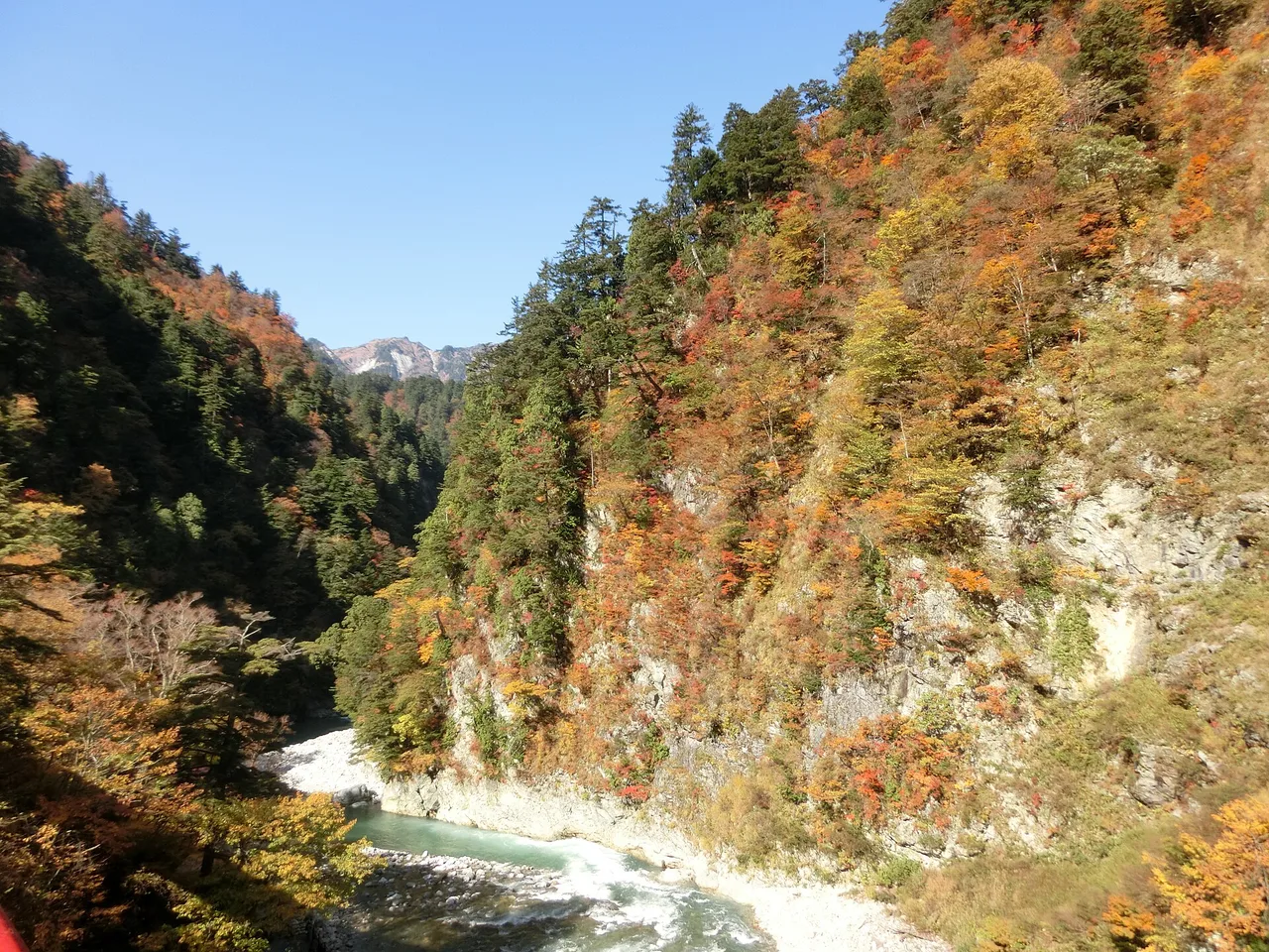 黒部峡谷の紅葉 2026