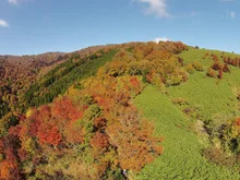 氷ノ山の紅葉 2026