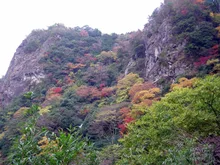 日向神峡の紅葉 2026
