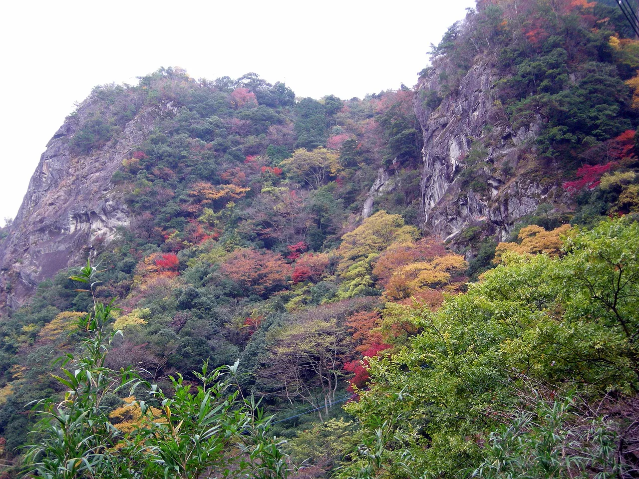 日向神峡の紅葉 2026