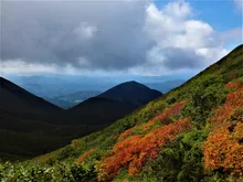 屈斜路湖畔の紅葉 2026