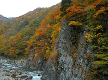 中津川渓谷(秋山郷)の紅葉 2026