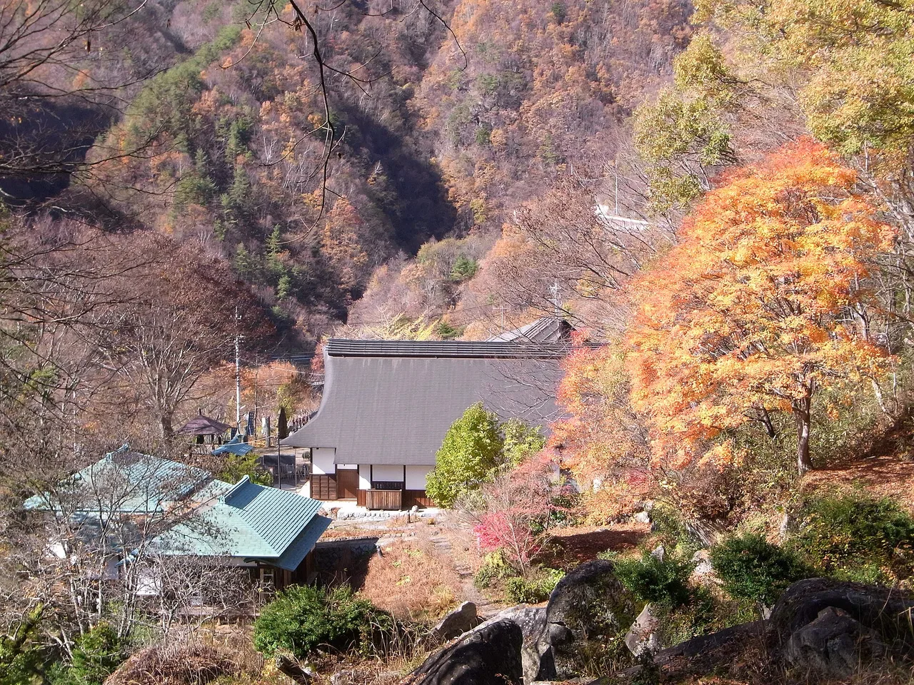 栖雲寺の紅葉 2026