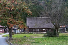 合掌造り民家園(白川郷)の紅葉 2026