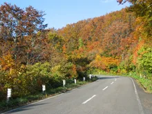 鳥海ブルーラインの紅葉 2026