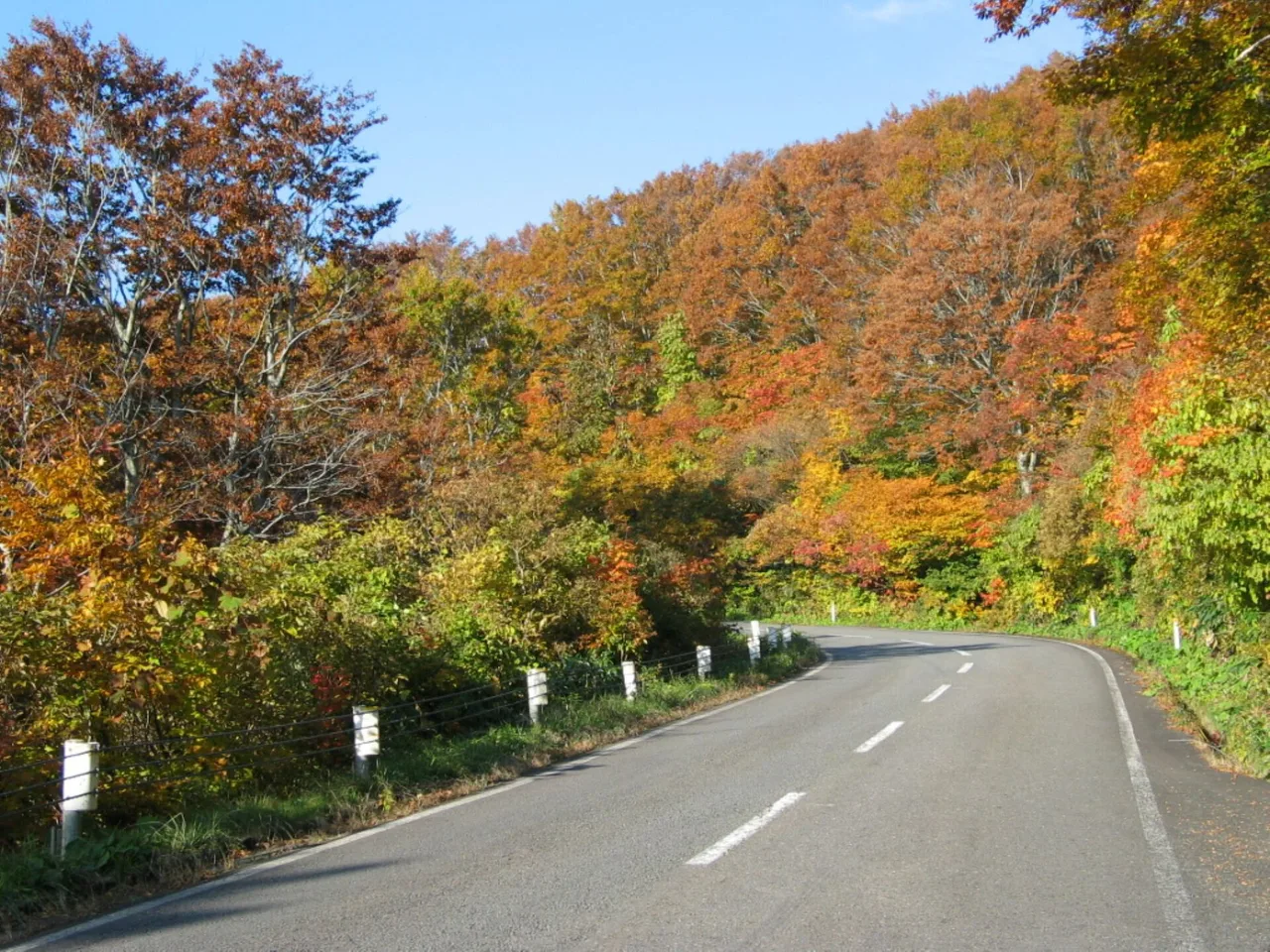 鳥海ブルーラインの紅葉 2026