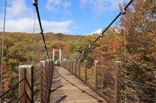 羽鳥湖高原の紅葉 2026