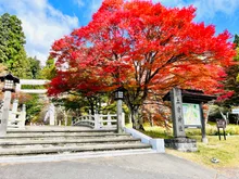 土津神社の紅葉 2026